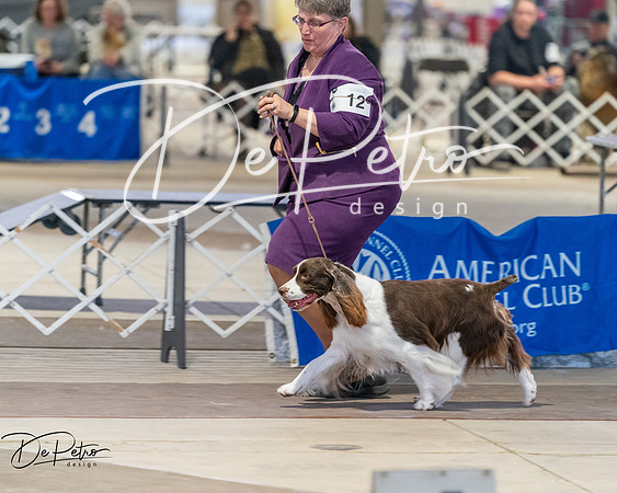 20260328-DSC08203