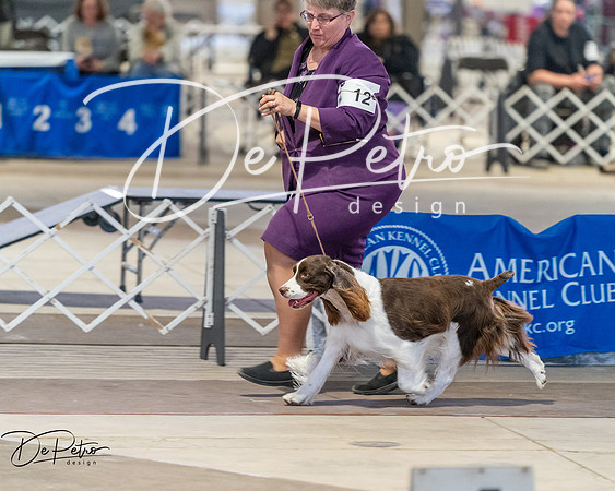 20260328-DSC08204