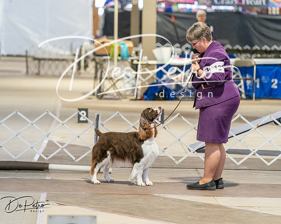 20260328-DSC08207