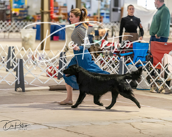 20260328-DSC08221