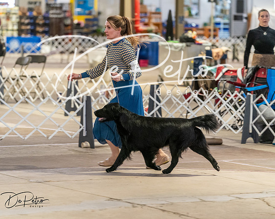 20260328-DSC08225