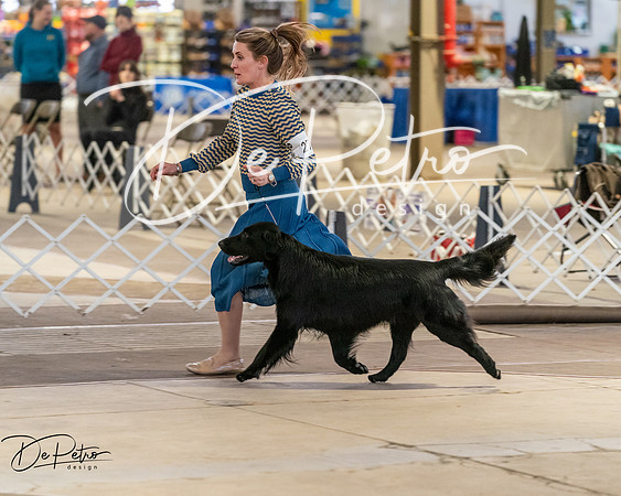 20260328-DSC08229