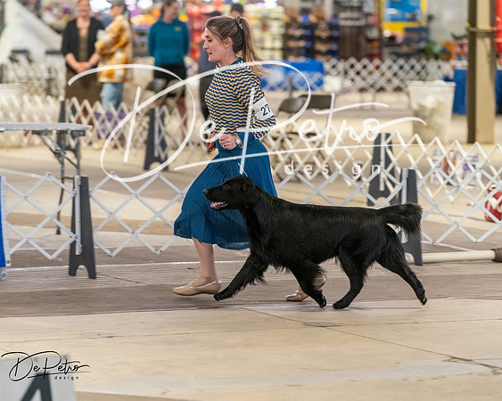 20260328-DSC08233