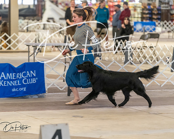 20260328-DSC08237