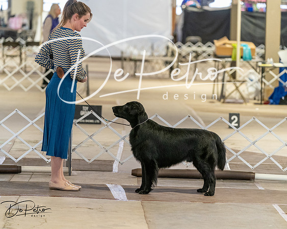 20260328-DSC08247