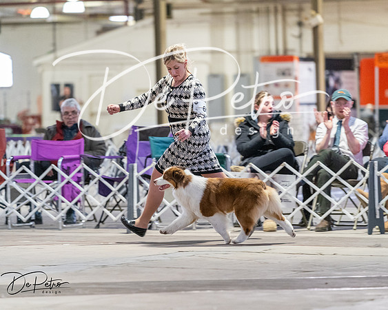 20260328-DSC08306
