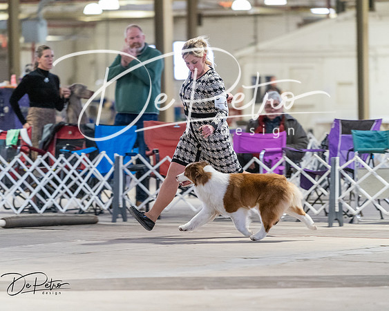 20260328-DSC08314