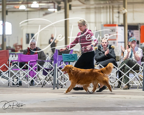 20260328-DSC08326