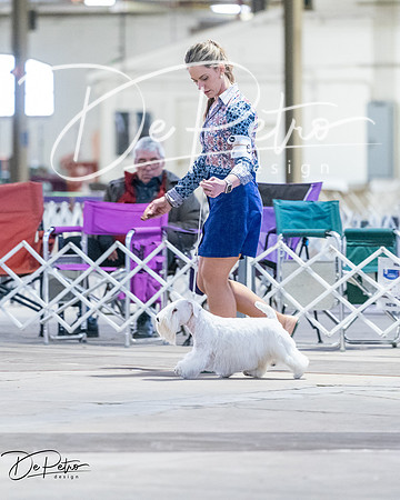 20260328-DSC08361