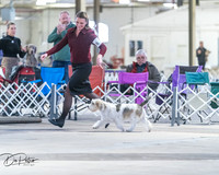 20260328-DSC08347