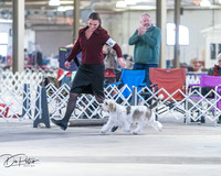 20260328-DSC08355