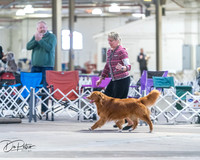 Best in Show