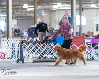 20260328-DSC08341