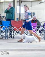20260328-DSC08367
