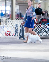 20260328-DSC08378
