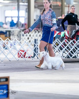 20260328-DSC08381