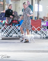 20260328-DSC08397