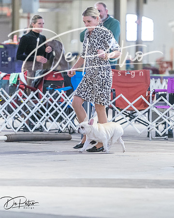 20260328-DSC08397