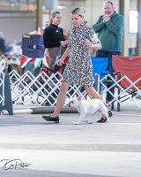 20260328-DSC08401