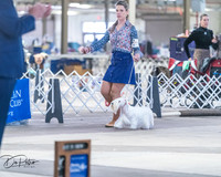 20260328-DSC08387