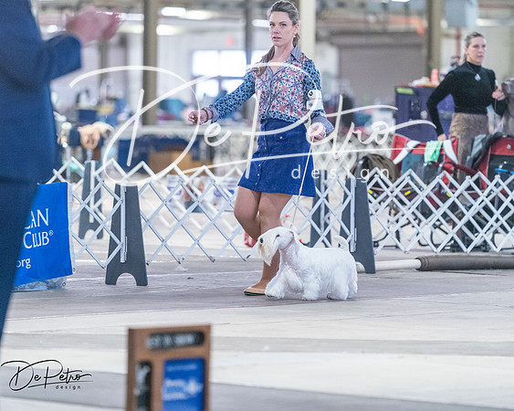 20260328-DSC08387