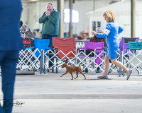 20260328-DSC08414
