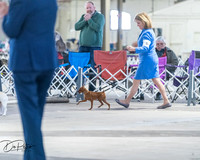 20260328-DSC08420