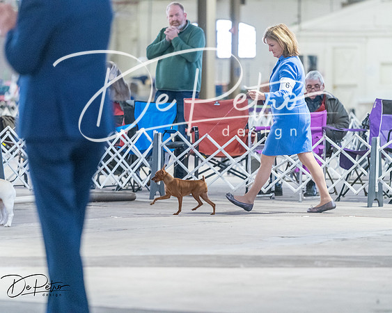 20260328-DSC08420