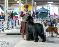 20260328-DSC08437