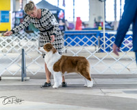 20260328-DSC08440