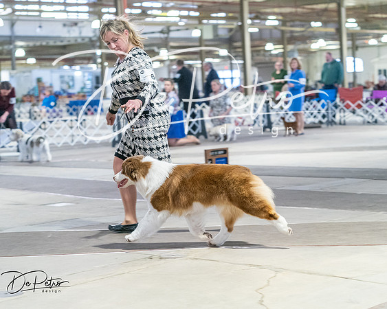 20260328-DSC08447