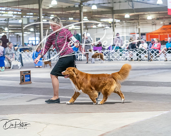 20260328-DSC08503