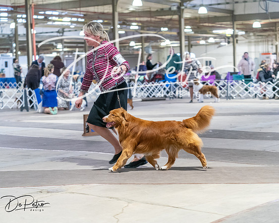 20260328-DSC08507