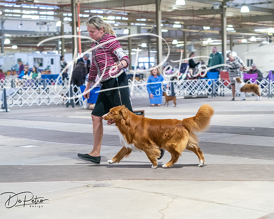 20260328-DSC08510