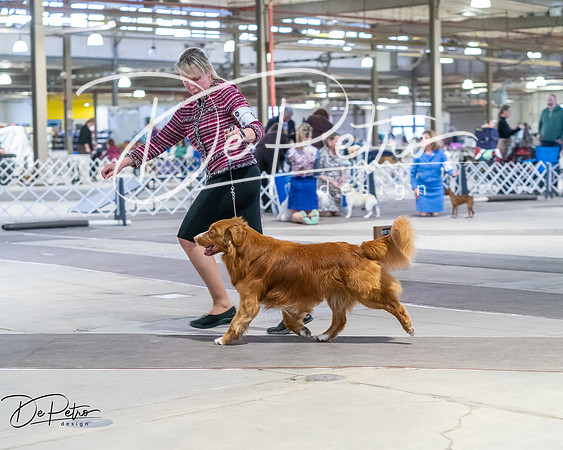 20260328-DSC08514