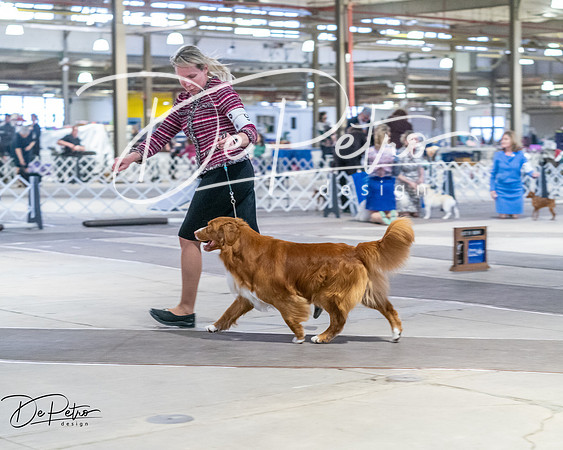 20260328-DSC08517