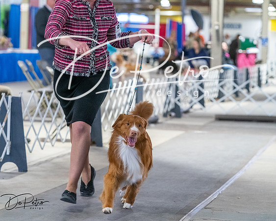 20260328-DSC08535