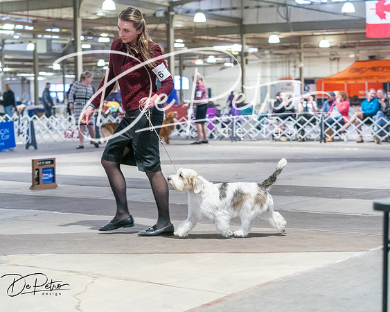 20260328-DSC08544