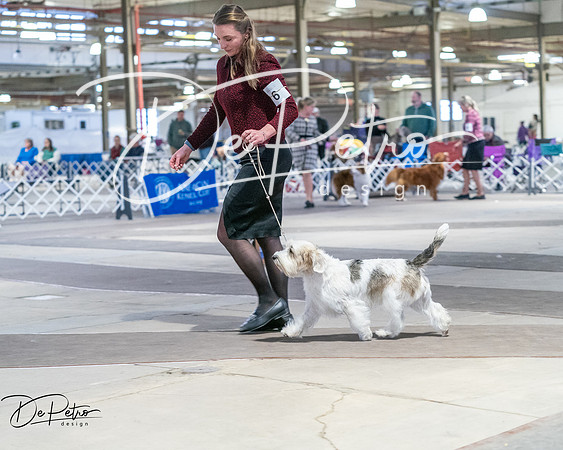 20260328-DSC08551