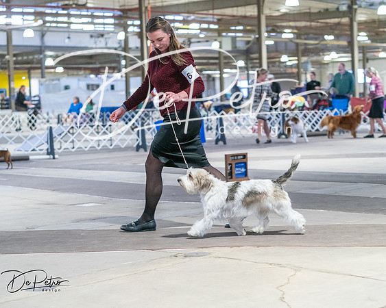 20260328-DSC08555