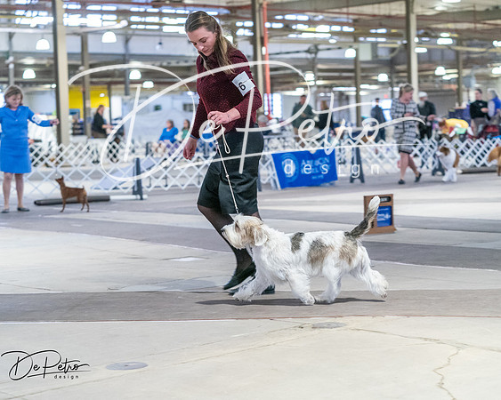 20260328-DSC08559