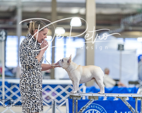 20260328-DSC08635