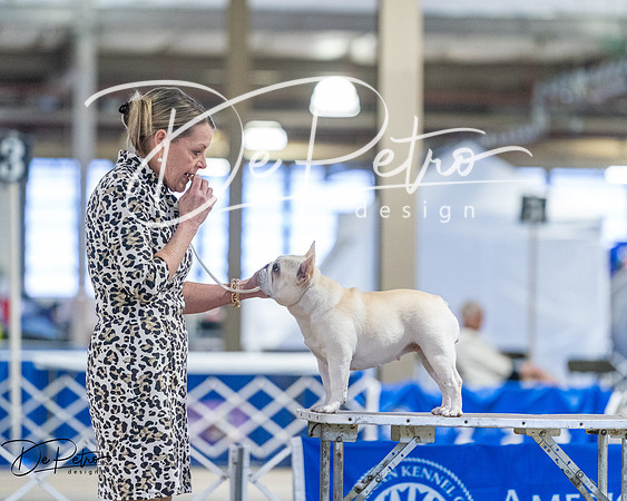20260328-DSC08636