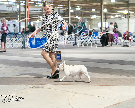 20260328-DSC08639
