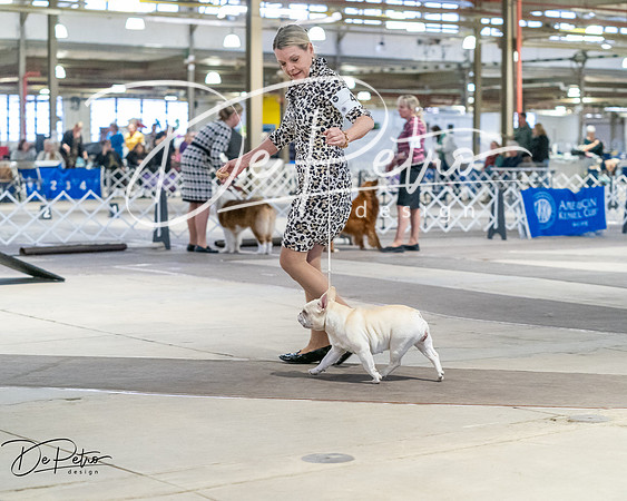 20260328-DSC08655