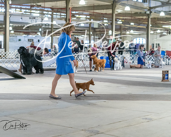 20260328-DSC08703