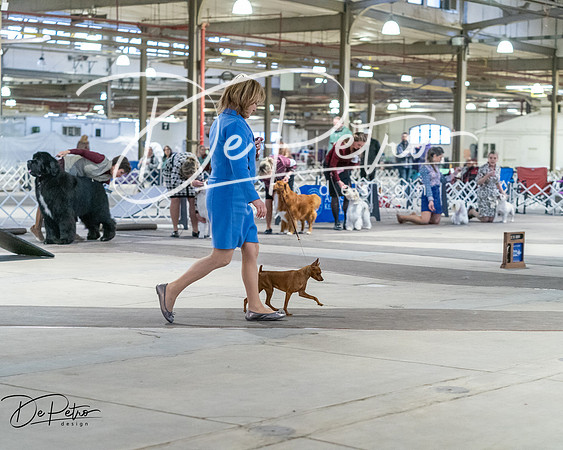20260328-DSC08706