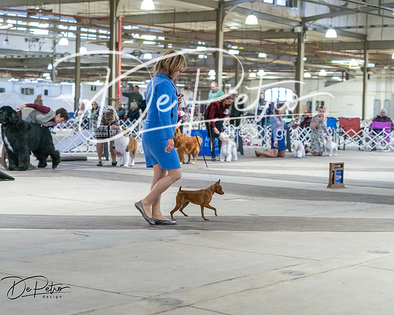 20260328-DSC08708