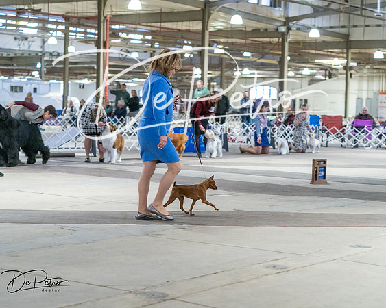 20260328-DSC08709