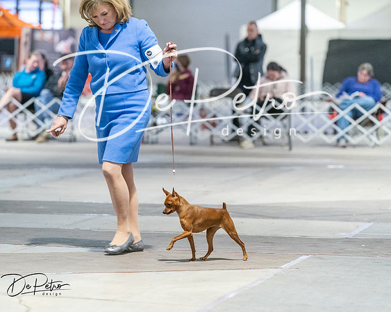 20260328-DSC08719